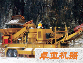 ��������̎��